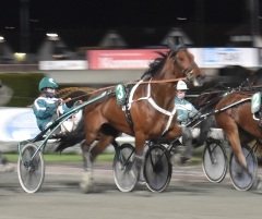 Ugly Duckling 171129-2